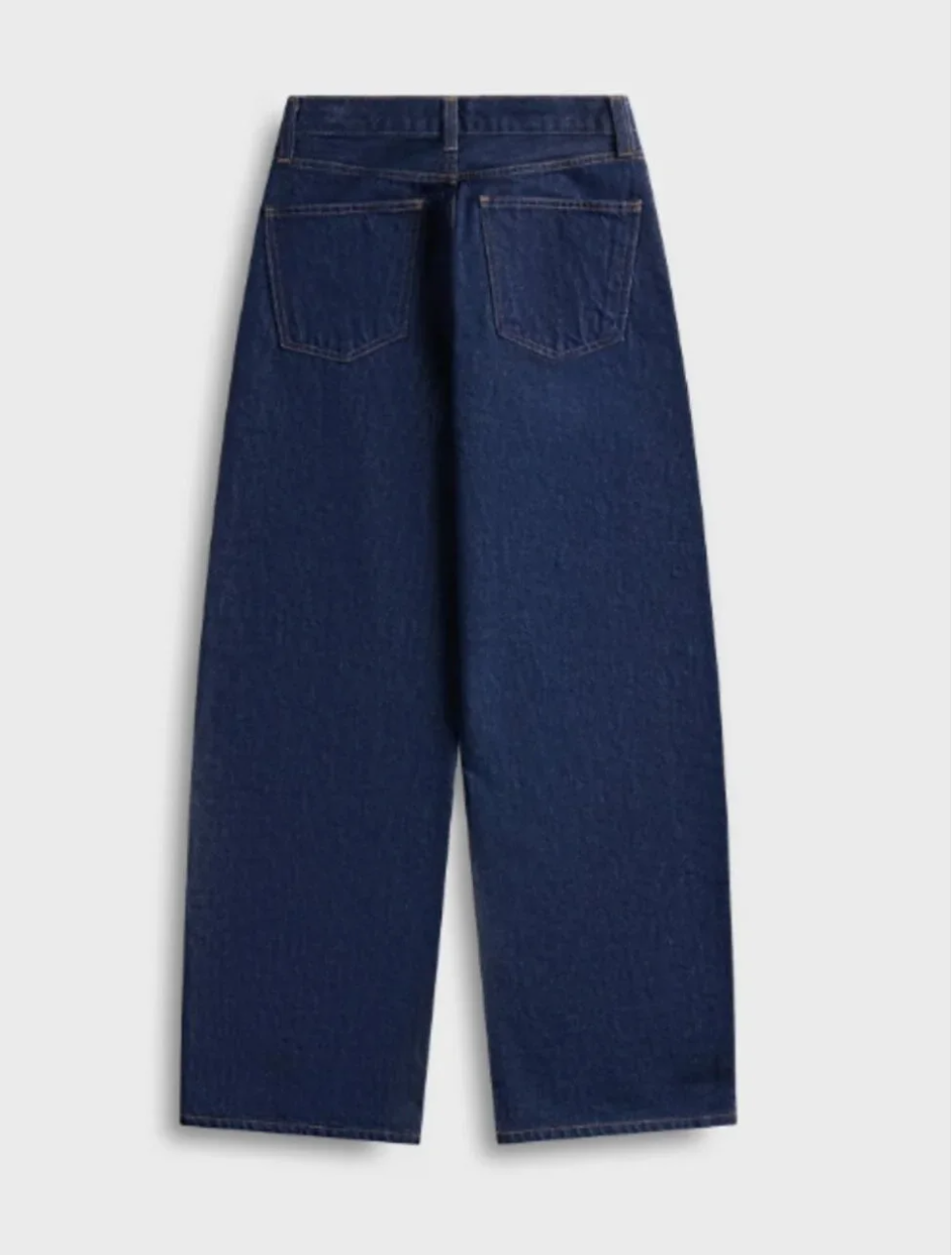 Agolde Arc wide leg 23