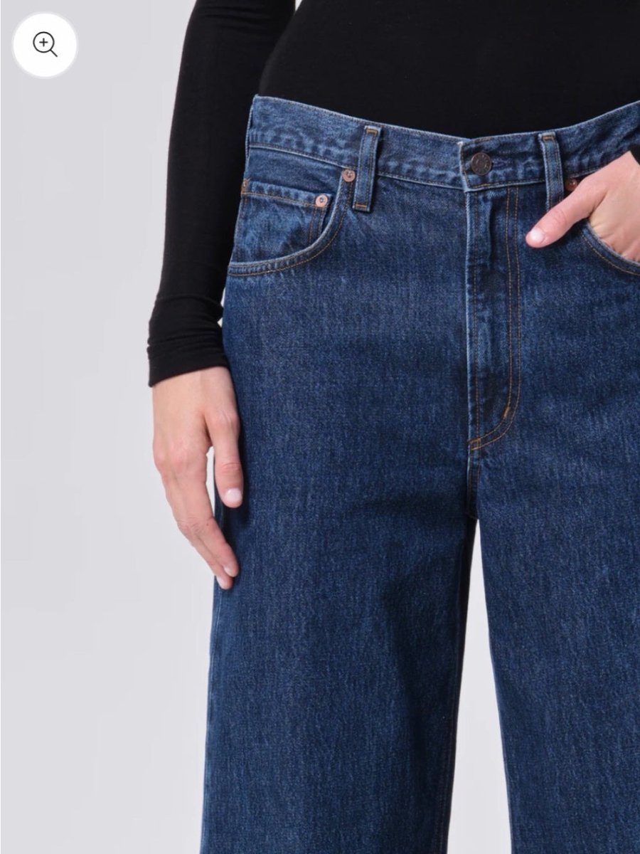 AGOLDE Low Curve Jeans in Pendulum – Preloved Size 29 - TheRWDenimAGOLDE Low Curve in Pendulum Wide-Leg Navy – TheRWDenim