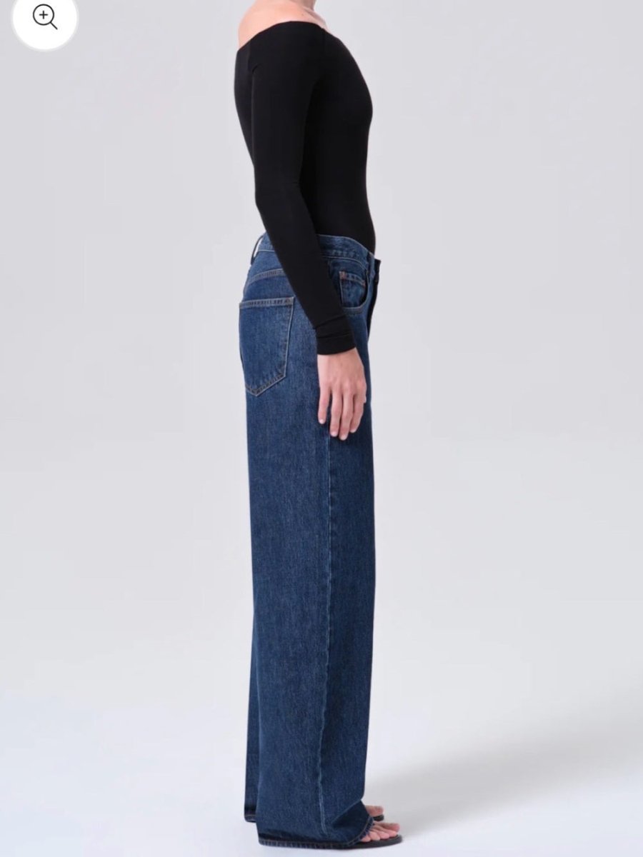 AGOLDE Low Curve Jeans in Pendulum – Preloved Size 29 - TheRWDenimAGOLDE Low Curve in Pendulum Wide-Leg Navy – TheRWDenim