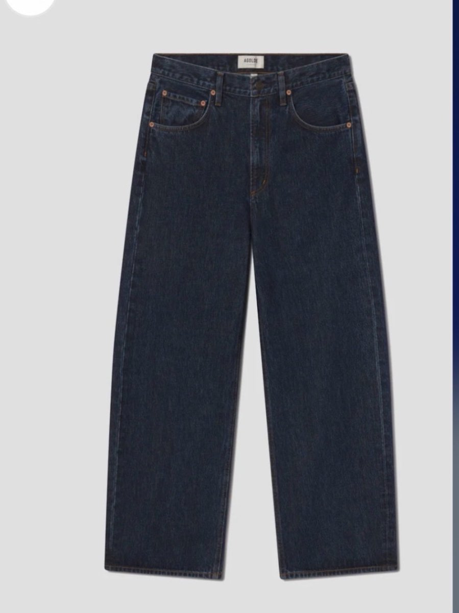 AGOLDE Low Curve Jeans in Pendulum – Preloved Size 29 - TheRWDenimAGOLDE Low Curve in Pendulum Wide-Leg Navy – TheRWDenim
