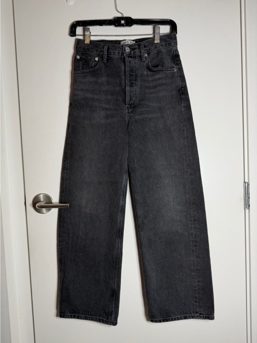 Agolde Ren High Rise 24 - TheRWDenimAGOLDE Ren High Rise Wide-Leg Black – TheRWDenim